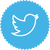 twitter_logo_button