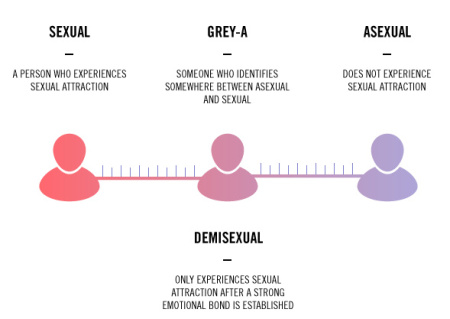 sexual-demi-gray-ace